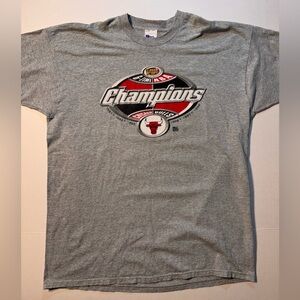 Vtg Chicago Bulls 6 Time Champions NBA Finals 90’s Pro Player T-shirt XXL